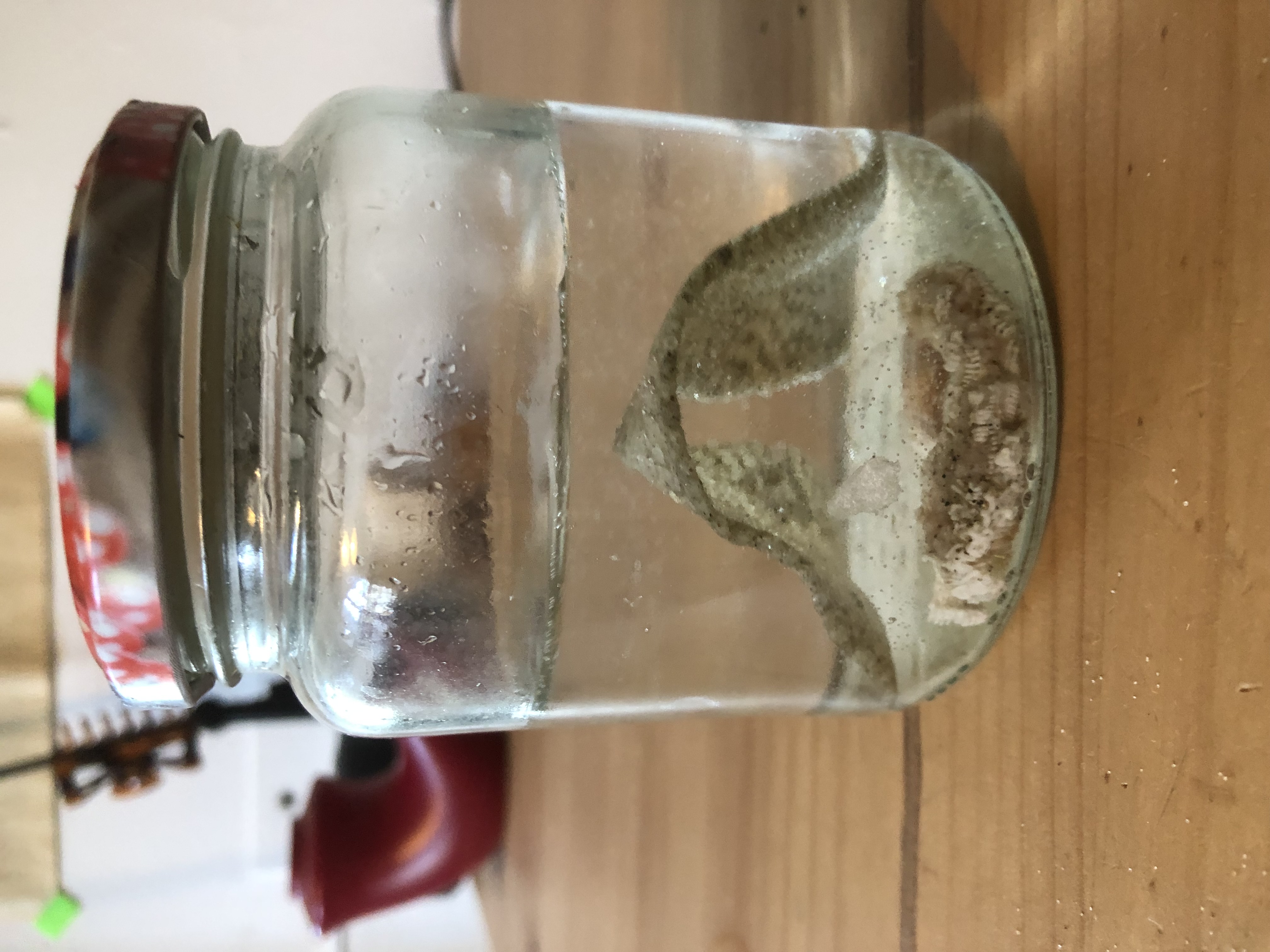 learning to preserve